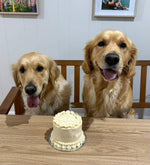 Load image into Gallery viewer, Gender Reveal Cake - Oh Baby
