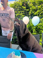 Load image into Gallery viewer, Gender Reveal - Question marks
