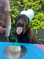 Load image into Gallery viewer, Gender Reveal - Question marks
