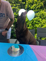 Load image into Gallery viewer, Gender Reveal - Question marks
